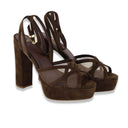 Exe' colibri' brown