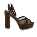 Exe' colibri' brown