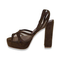 Exe' colibri' brown