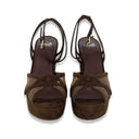 Exe' colibri' brown