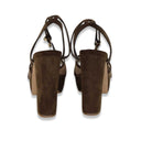 Exe' colibri' brown