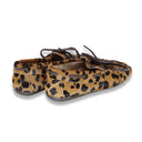 Mormora santoreggia leopardato