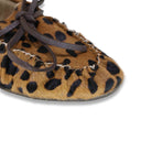 Mormora santoreggia leopardato
