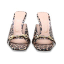 Albano cuprant leopardato
