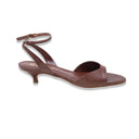 Belotti noto lizard cioccolato