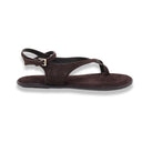 Mormora philesia brown