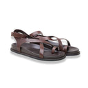 Mormora clemantis brown