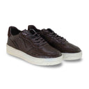 Victoria seul serpente marron
