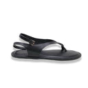 Mormora philesia black