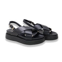 Mormora alocasia black