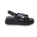 Mormora alocasia black