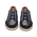 Ambitious bull brown