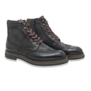 Ambitious parrot brown