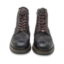 Ambitious parrot brown